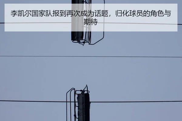 li-kai-er-guo-jia-dui-bao-dao-zai-ci-cheng-wei-hua-ti-gui-hua-qiu-yuan-de-jue-se-yu-qi-dai-1-162.jpg | leyu